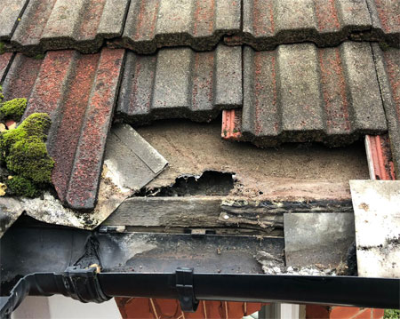 Emergency roof repairs bournemouth